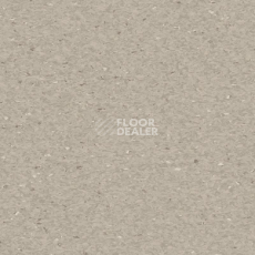 Линолеум Tarkett iq Granit Acoustic GREY BEIGE фото 1 | FLOORDEALER